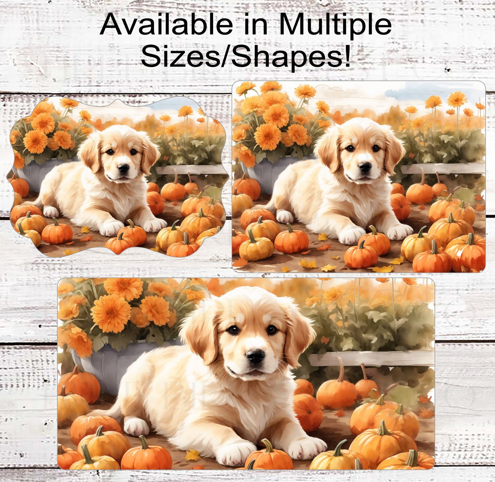 Golden Retriver Pumpkin Patch Wreath Sign - Golden Retriever Lover - Pet Dog Sign - Pumpkin Sign