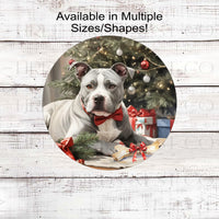 A gray and white Staffordshire Terrier Pit Bull Dog in front of a Christmas tree with a bone with a bow on it