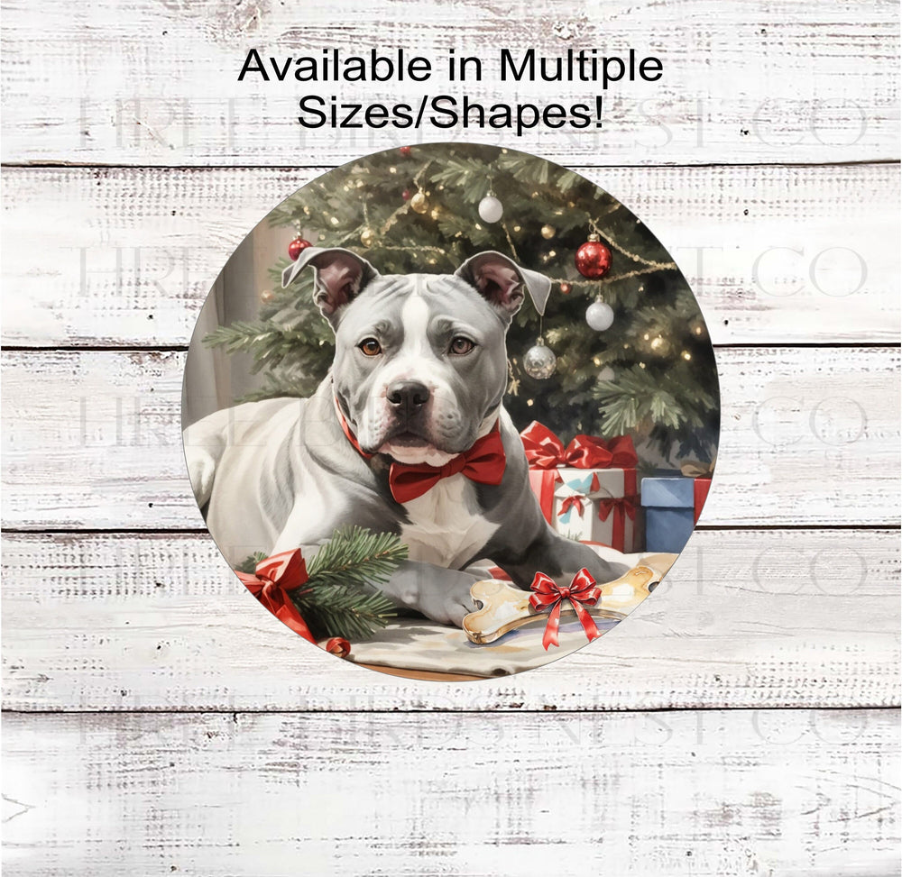 A gray and white Staffordshire Terrier Pit Bull Dog in front of a Christmas tree with a bone with a bow on it