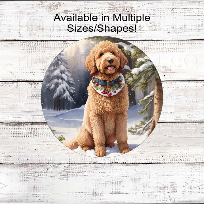 A golden colored Labradoodle dog in a Christmas collar in a winter woodland setting