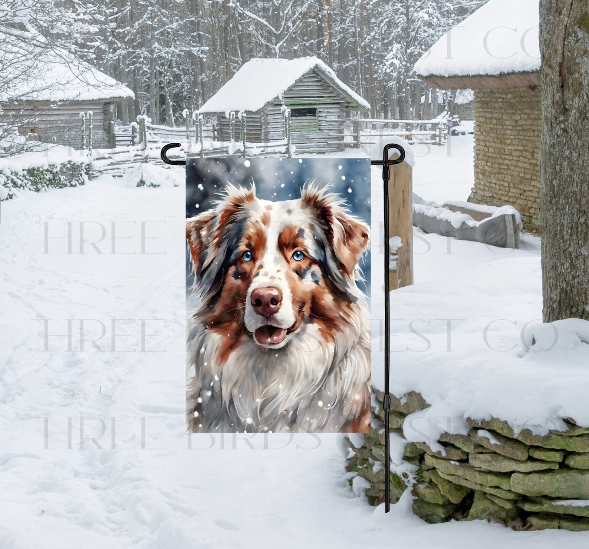 A beautiful red merle Australian Shepherd with blue eyes in a winter wonderland setting