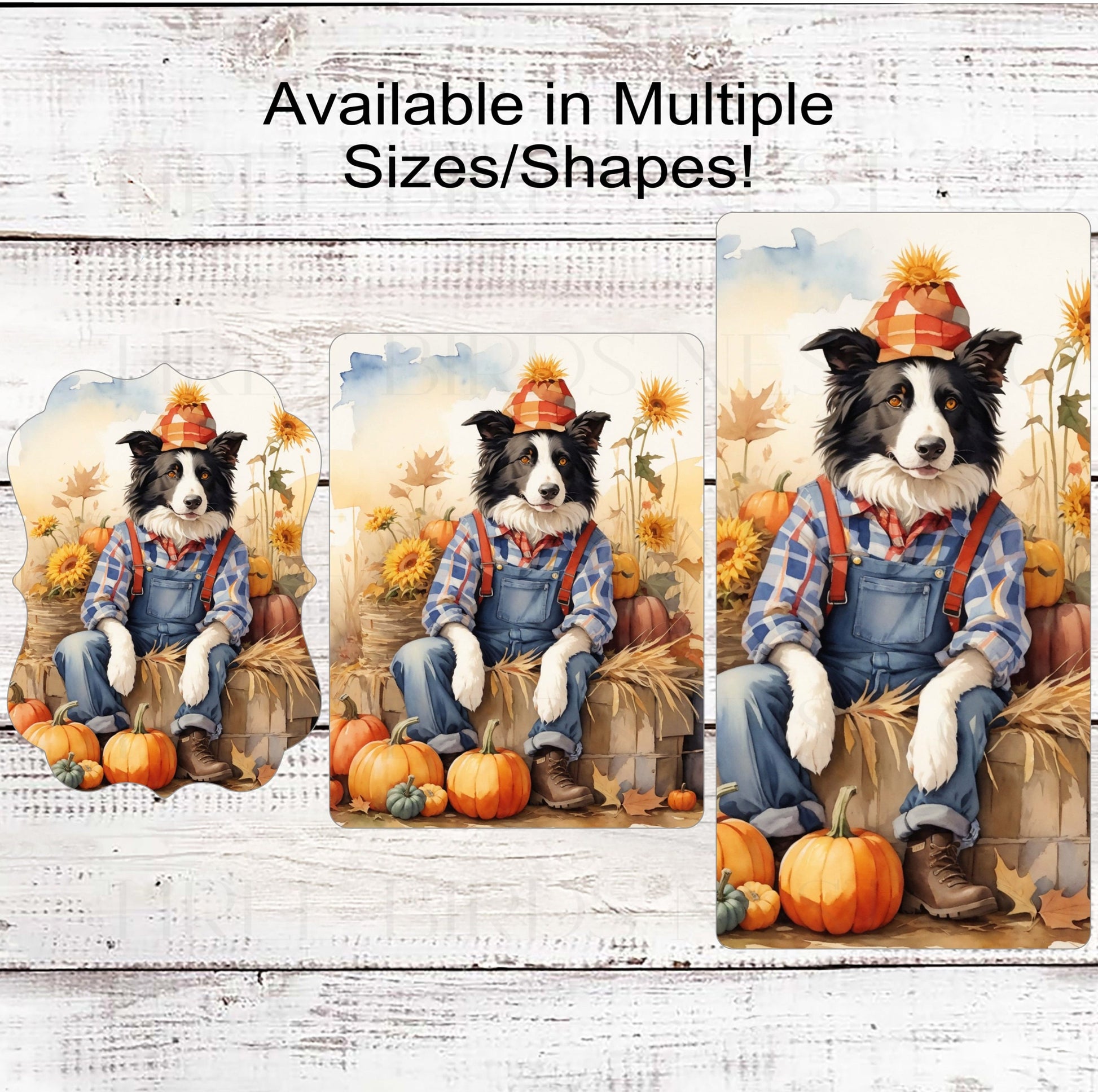 Fall Scarecrow - Border Collie Wreath Sign - Pet Wreath - Dog Sign - Dog Lover