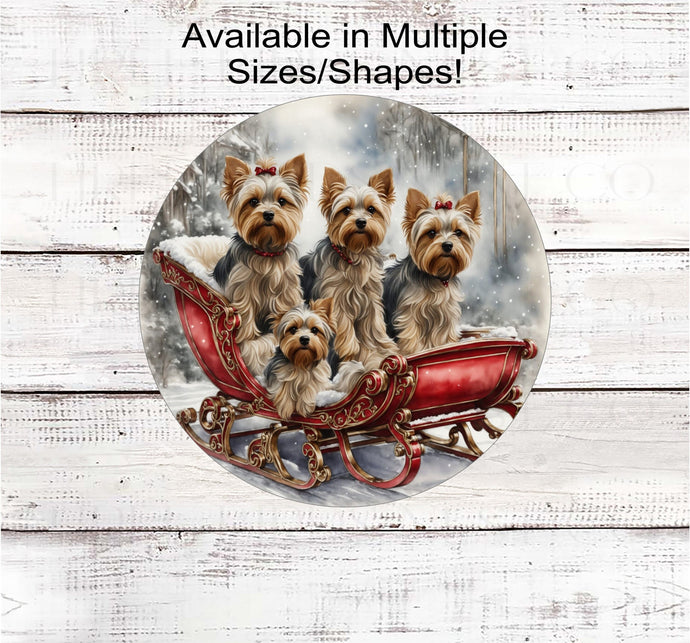 Yorkshire Terriers in a Christmas sled