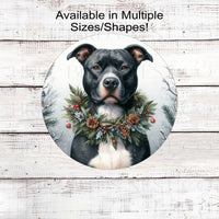 A black and white Pit Bull in a Winter setting wearing a festive collar of greenery and pine cones.