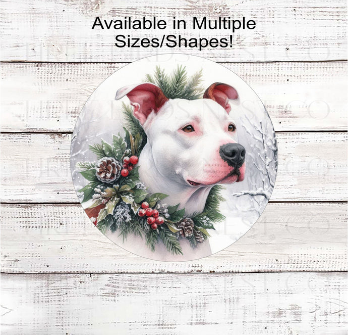 A snowy Winter Scene with a White Pit Bull Dog wearing a festive collar of greenery, berries and pine cones.