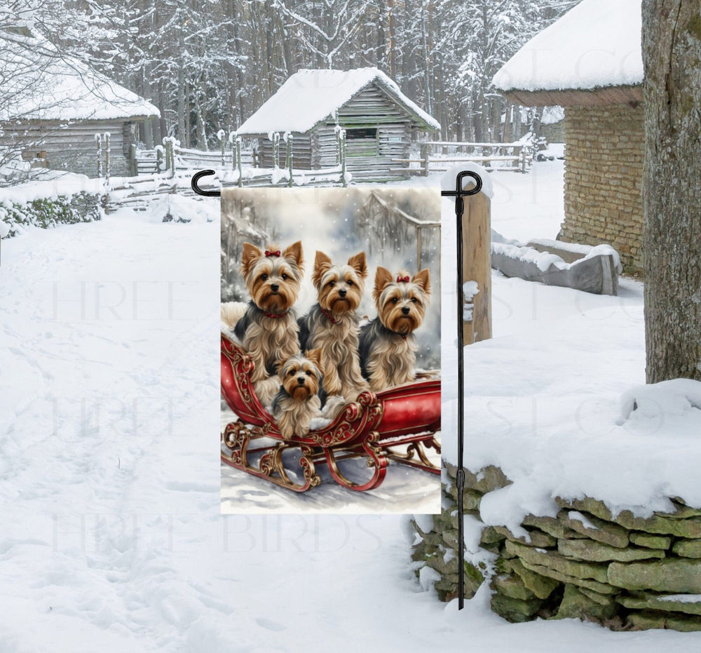 Four adorable Yorkshire Terriers in a red Christmas sleigh.