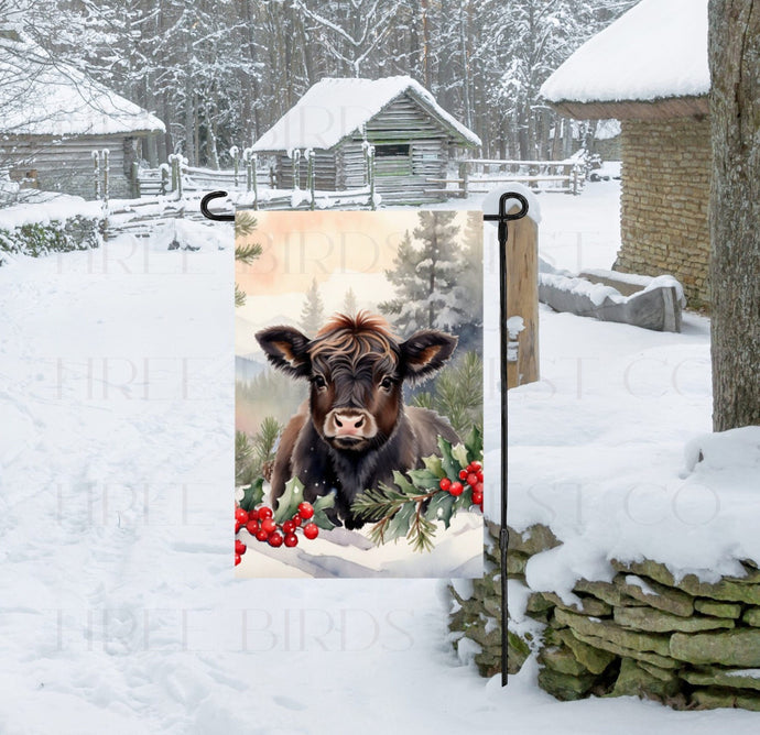 A Chocolate Brown Scottish Highland Calf in a Winter Wonderland surrounded by holly and berries