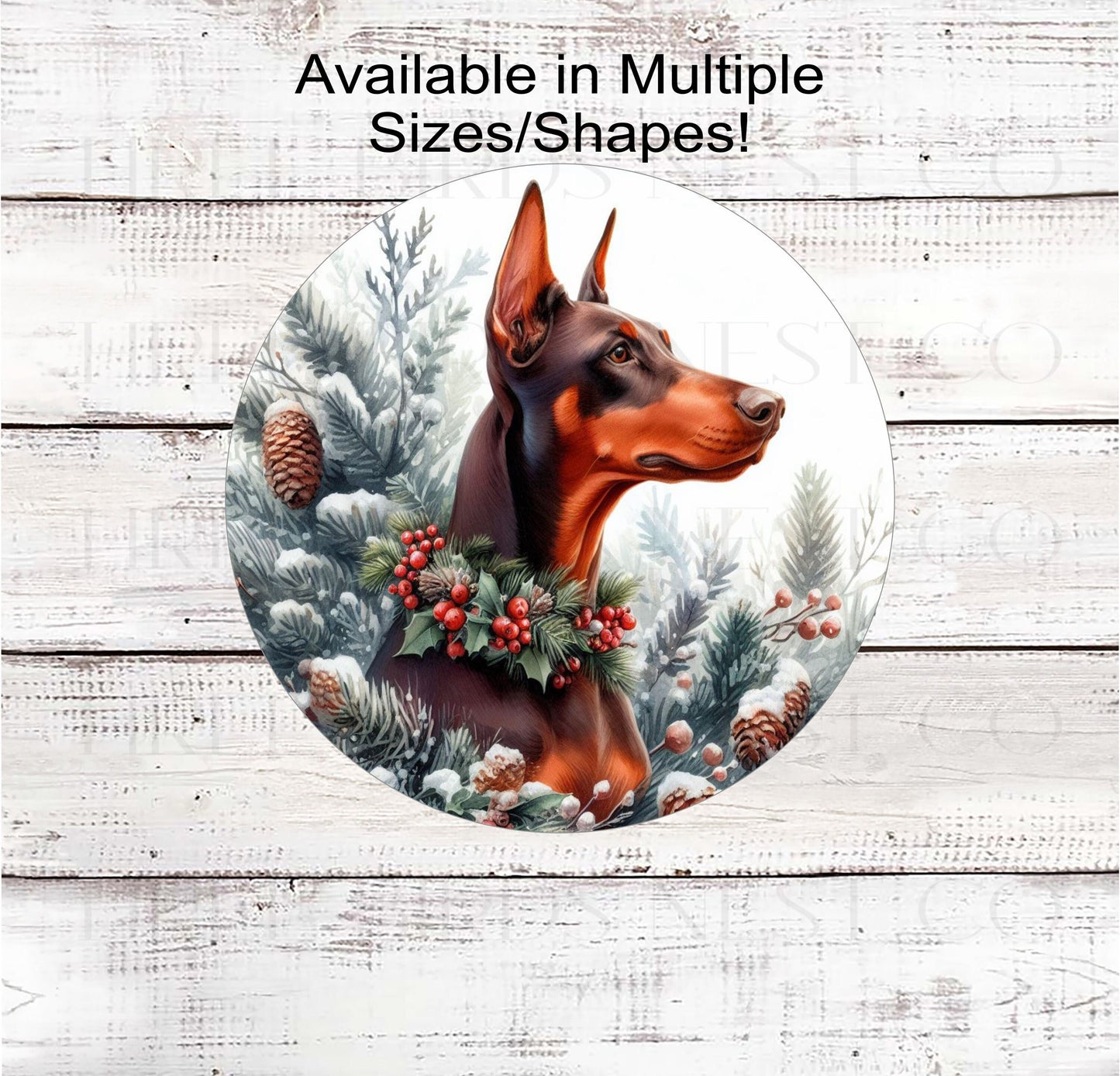 A Red and rust Doberman Pinscher dog in a winter wonderland