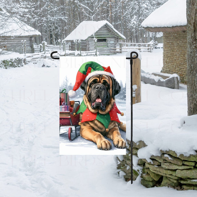An English Mastiff Dog dressed as a Christmas Elf.