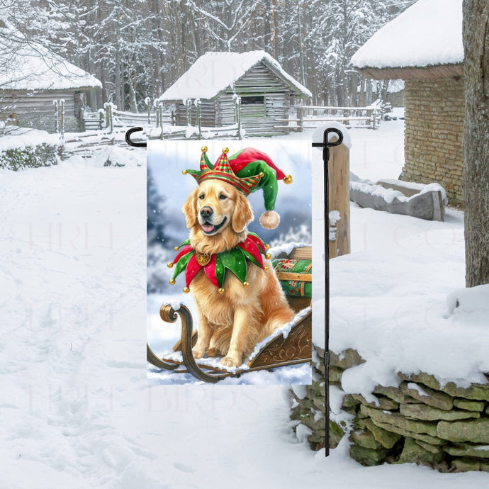 An adorable Golden Retriever dog dressed as a Christmas Elf.