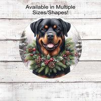 A Rottweiler Dog in a Winter Wonderland setting wearing a festive collar of greenery, berries and pine cones.