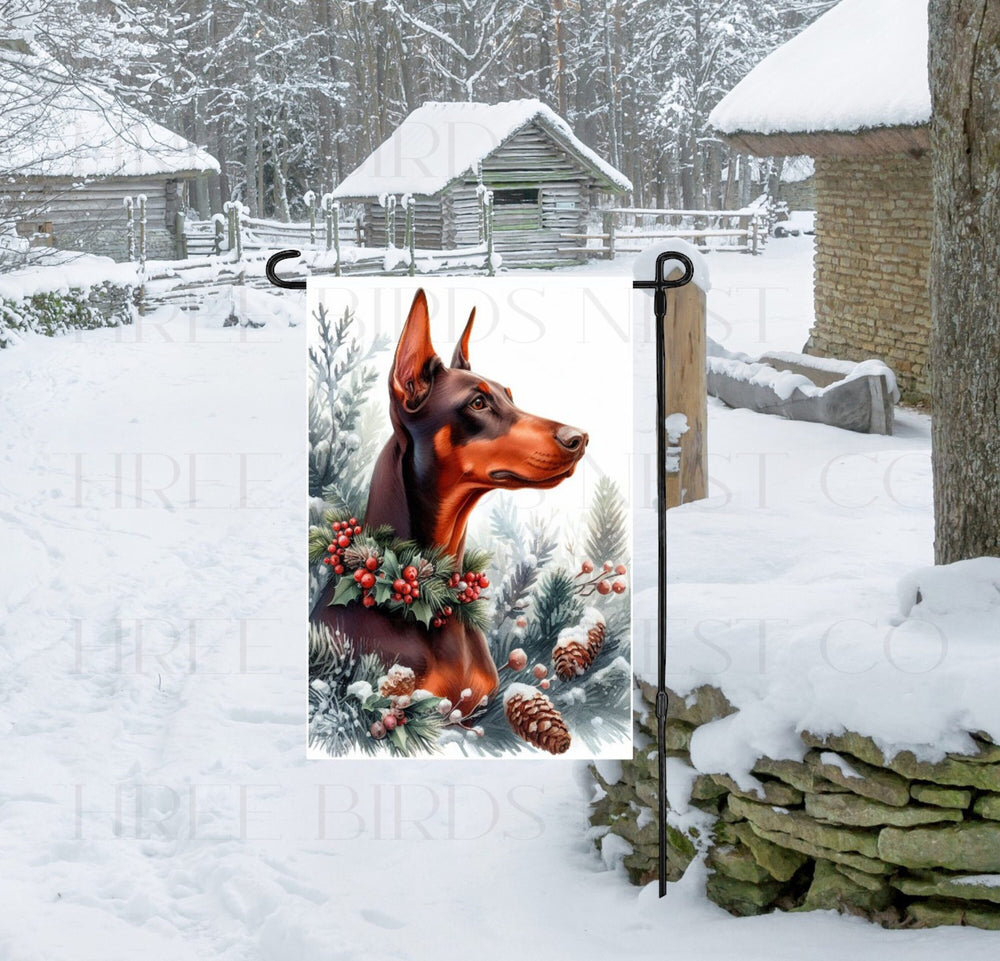 A Red and Rust Colored Doberman Pinscher Dog in a Winter Wonderland setting, wearing a festive collar of greenery and berries with pine cones.