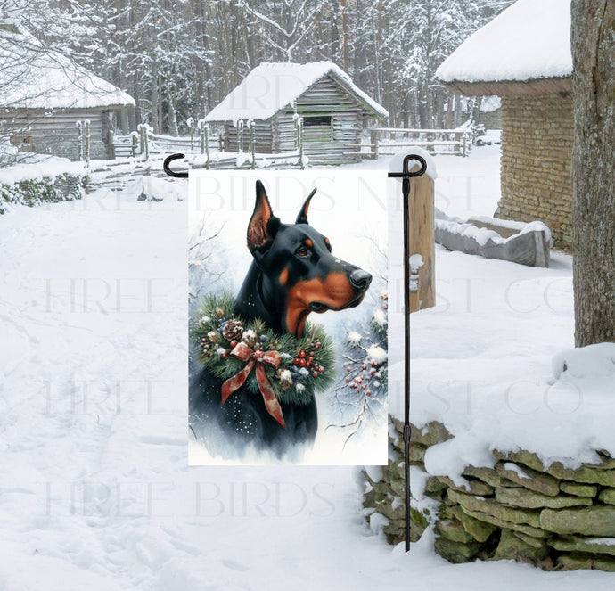 A Black and Rust Colored Doberman Pinscher Dog in a Winter Wonderland setting, wearing a festive collar of greenery and berries with pine cones.
