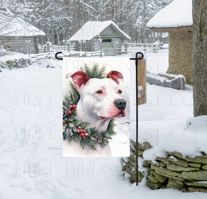 A White Pit Bull Dog in a Winter Wonderland setting, wearing a festive collar of greenery and berries with pinecones.