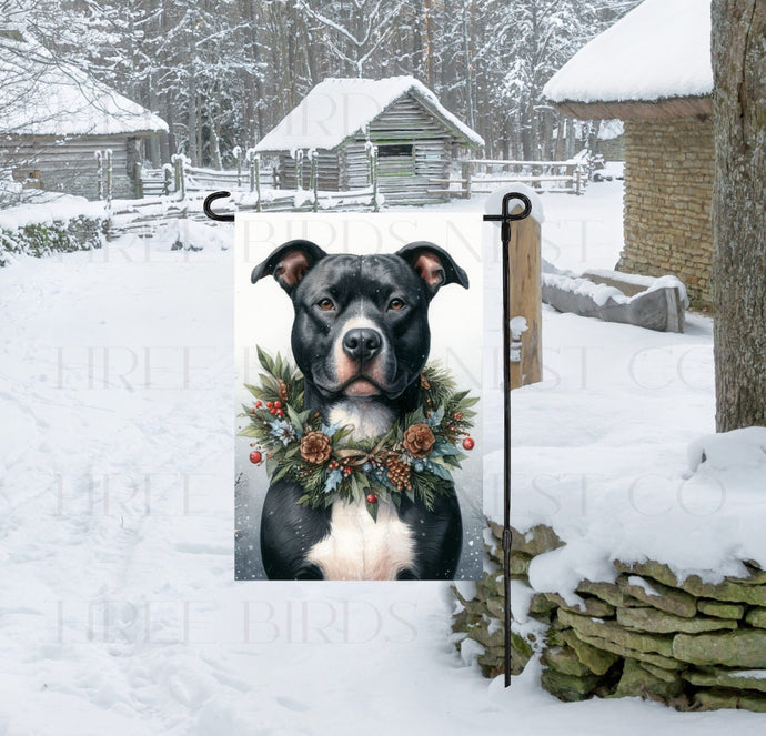 A White and Black Pit Bull Dog in a Winter Wonderland setting, wearing a festive collar of greenery and berries with pinecones.