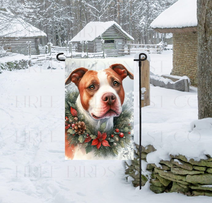 A Red Nosed Pit Bull Dog in a Winter Wonderland setting, wearing a festive collar of greenery and berries with pinecones.