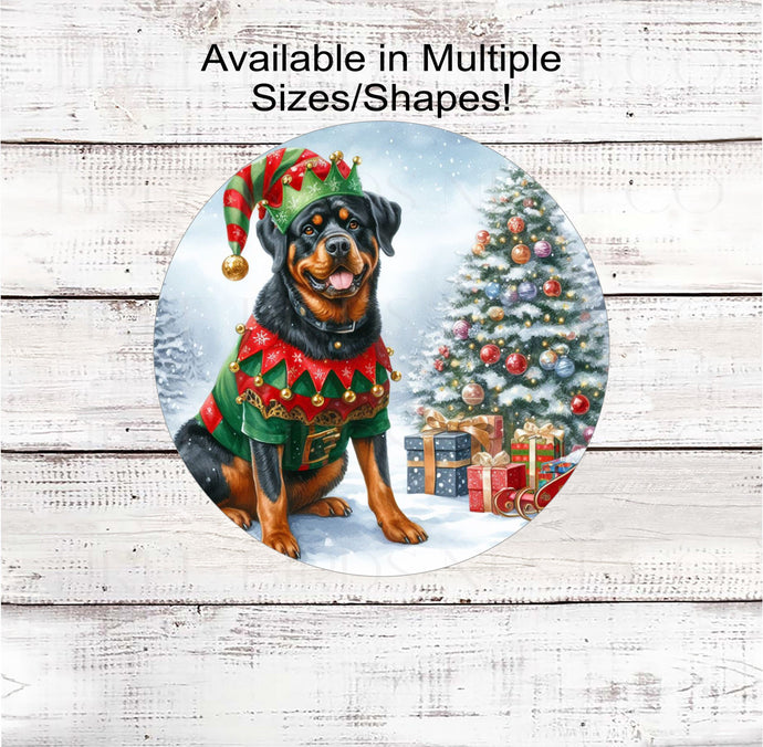 A Rottweiler Dog dressed as a Christmas Elf.