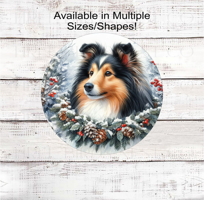 An adorable Shetland Sheepdog dressed as a Christmas Elf.