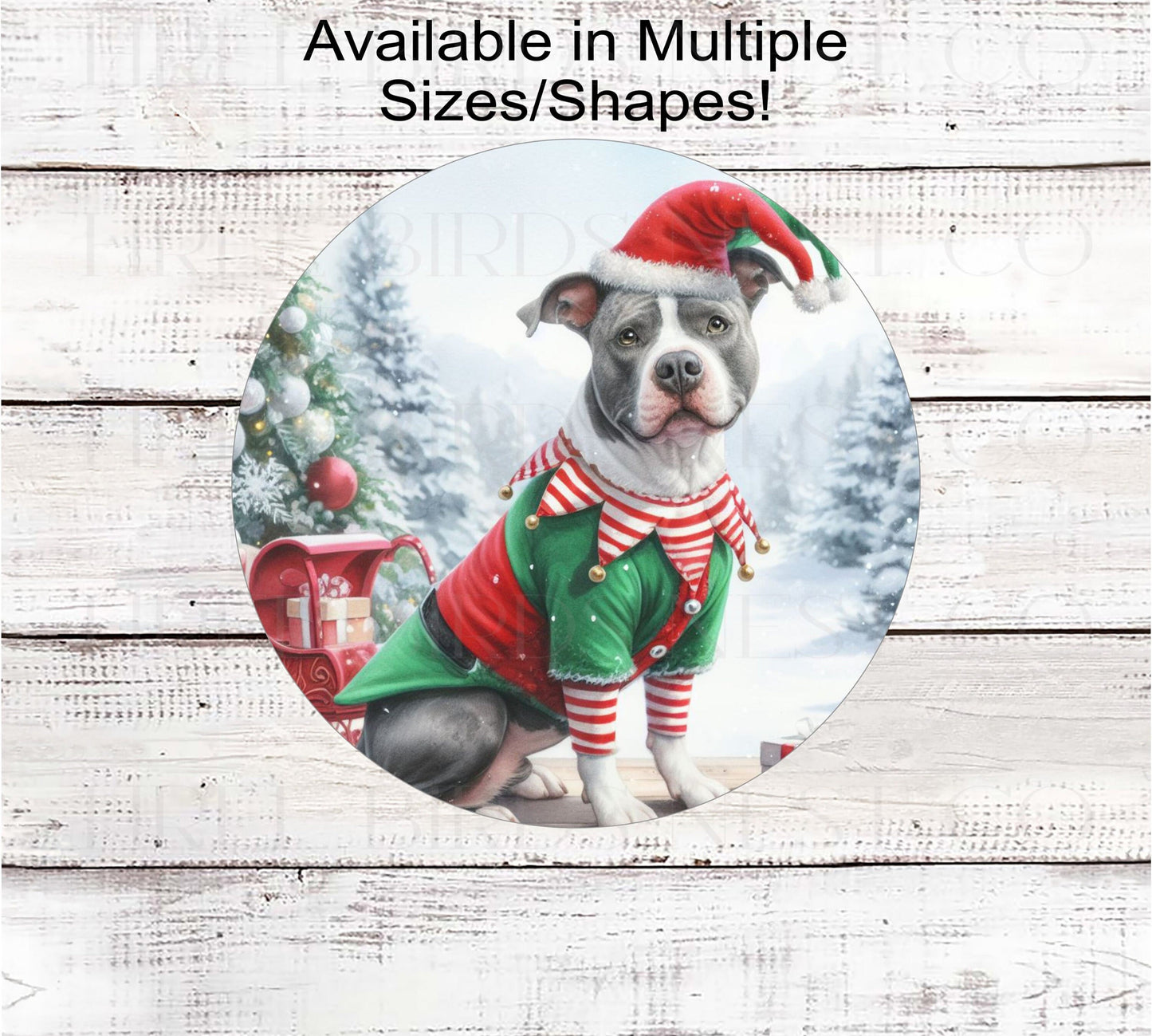 An adorable grey and white Pit Bull Dog dressed as a Christmas Elf.