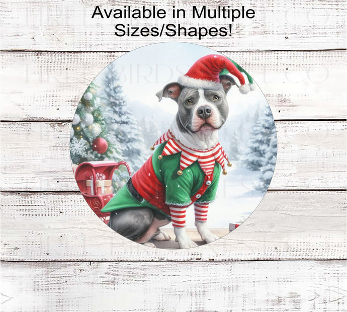 An adorable grey and white Pit Bull Dog dressed as a Christmas Elf.