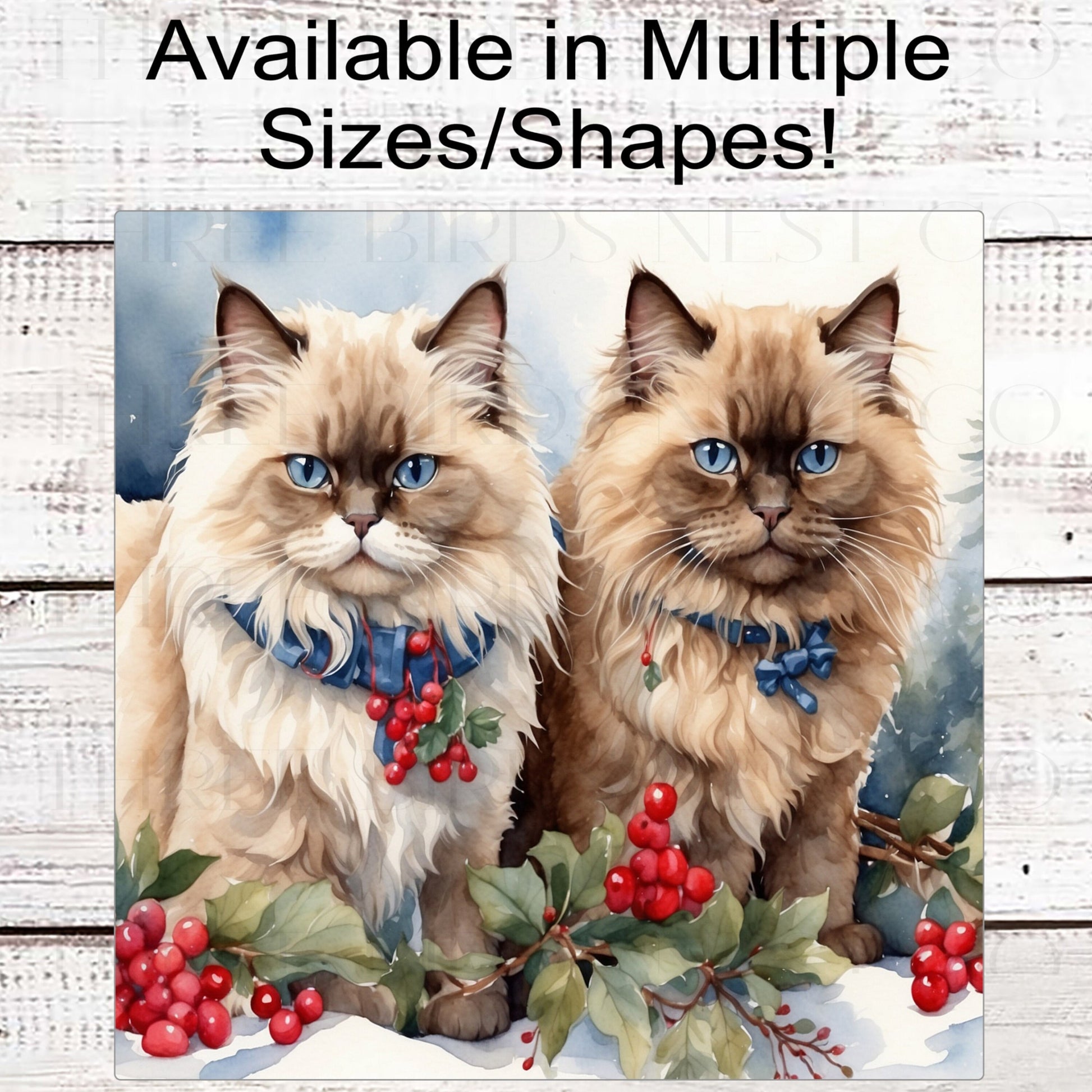 Himalayan Winter Cat Wreath Sign - Christmas Cat - Holly Sign