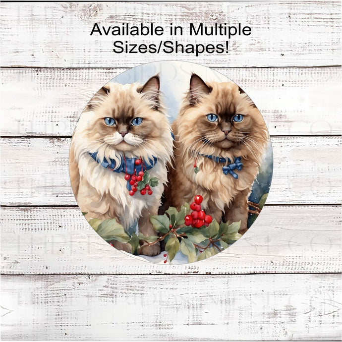 A pair of Himalayan cats with festive collars sitting in a Winter setting.