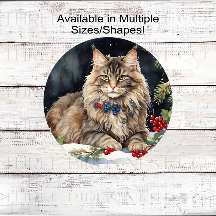 A beautiful Maine Coon cat with a festive collar in a Winter setting.