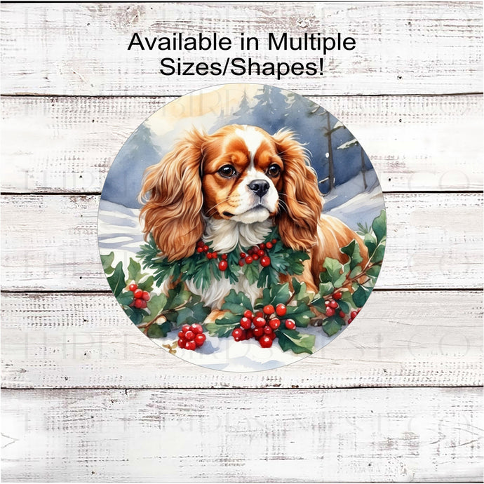 A beautiful Cavalier King Charles Spaniel Dog with a festive collar in a Winter Wonderland.