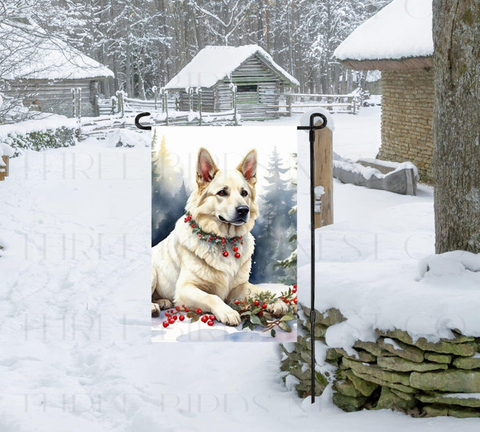A white German Shepherd dog in a Winter Wonderland setting.