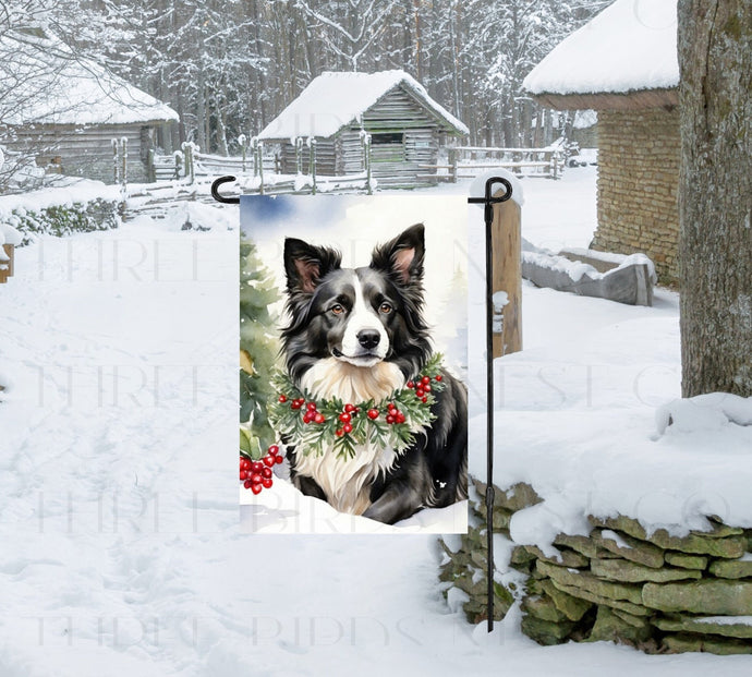 A Border Collie dog in a Winter Wonderland setting.