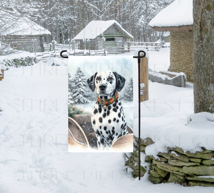 A Dalmatian dog in a Winter Wonderland setting.