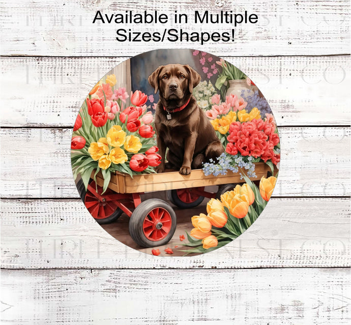 A chocolate Labrador Retriever dog surrounded by beautiful Spring flowers