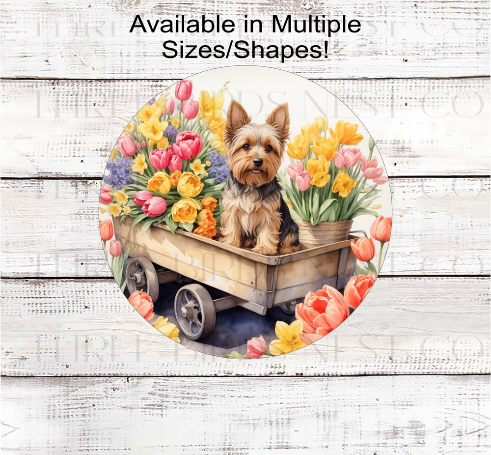 A Yorkshire Terrier dog surrounded by beautiful Spring flowers