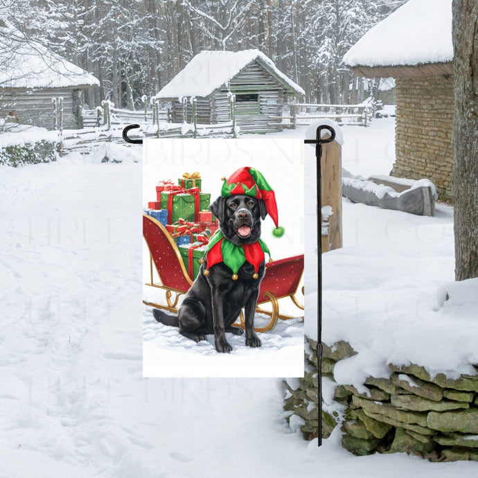 An adorable Labrador Retriever dog dressed as a Christmas Elf.