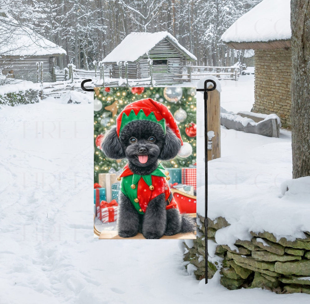 An adorable black Poodle dog dressed as a Christmas Elf.