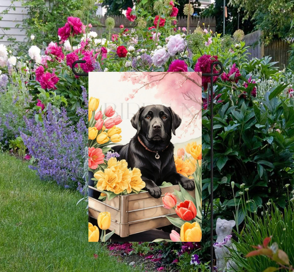 A beautiful black Labrador Retriever in a wooden cart full of Spring flowers.