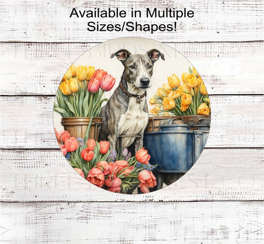 A Greyhound dog surrounded by beautiful Spring flowers