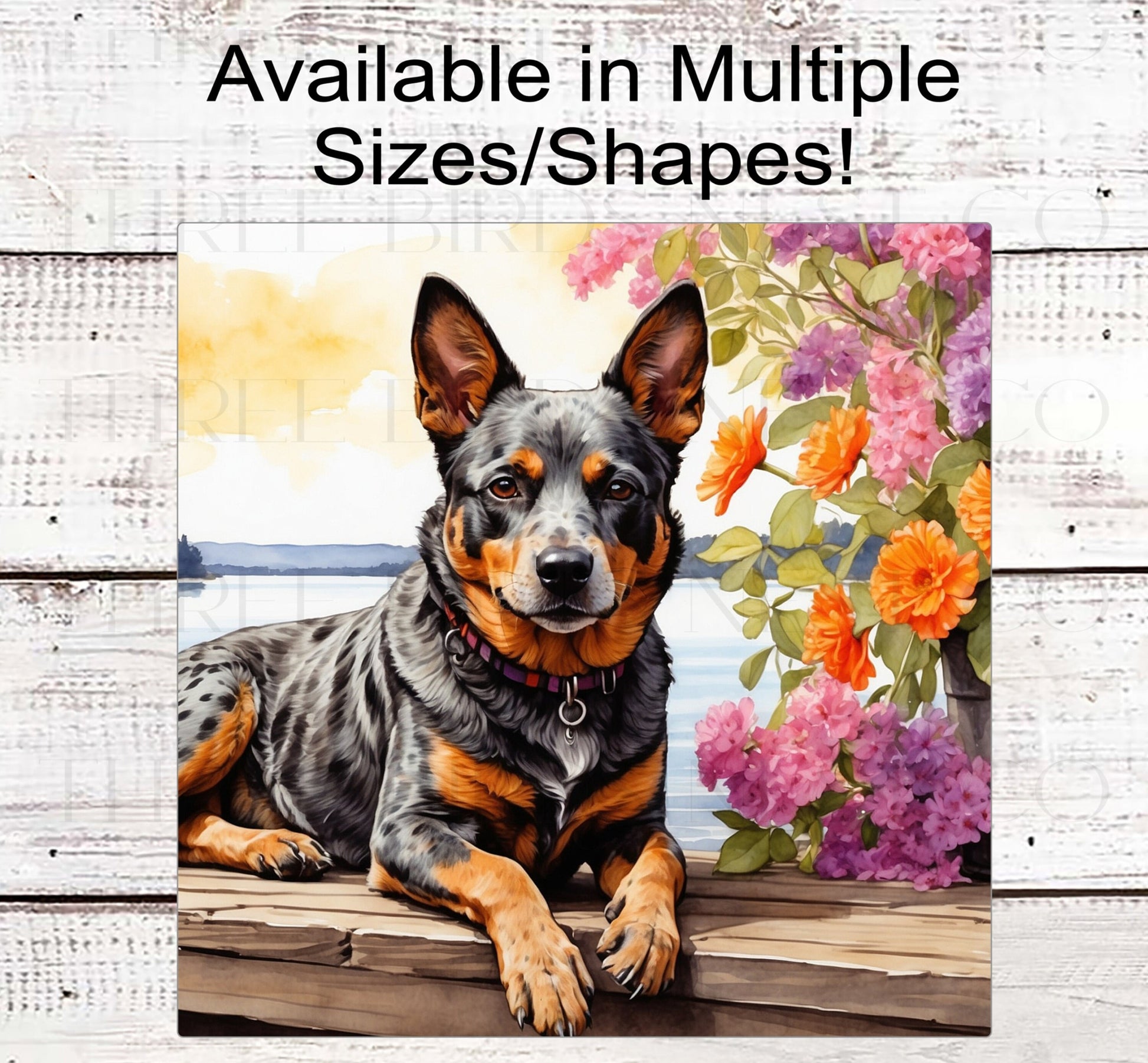 Spring Dog Wreath Sign - Australian Cattle Dog - Floral Wreath Sign