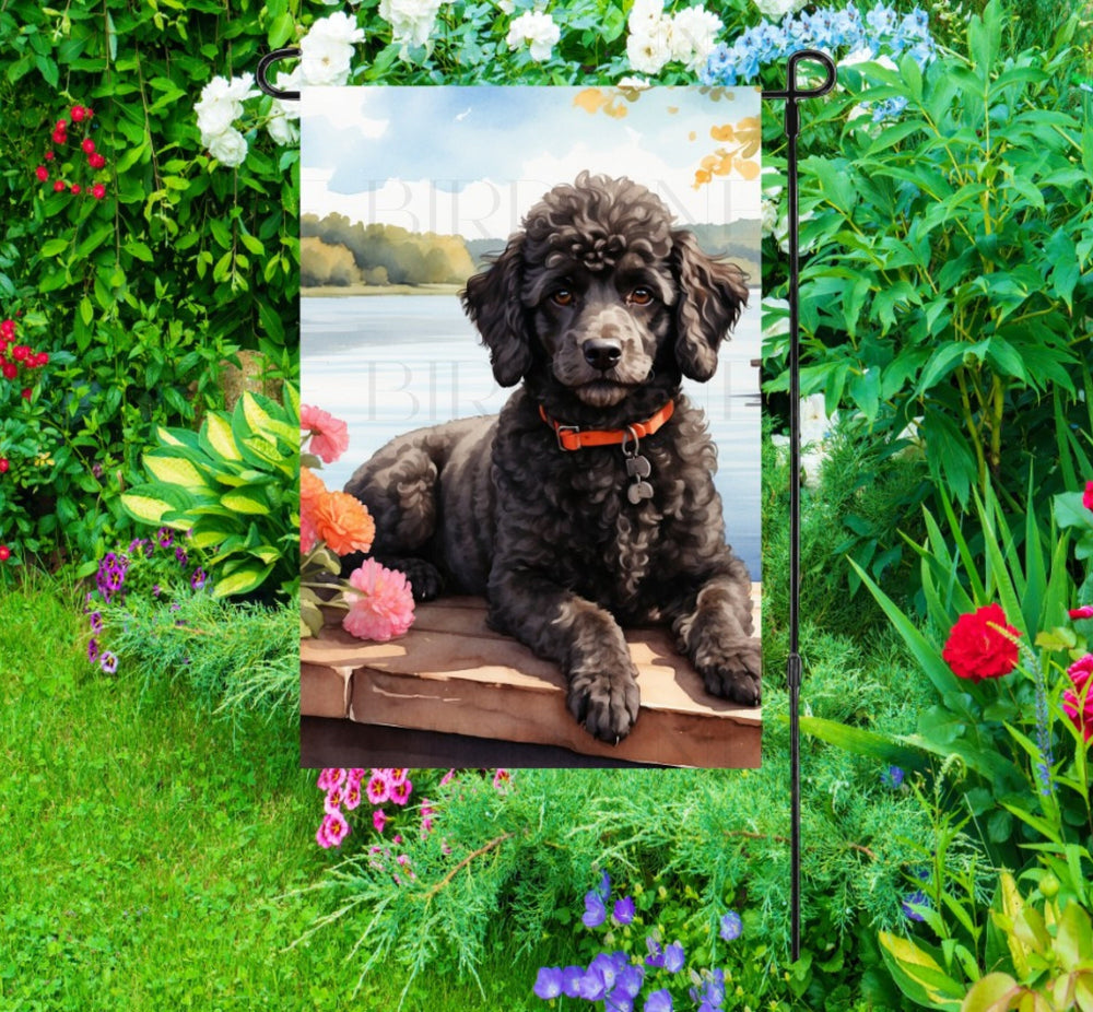 A beautiful black Poodle dog on a dock overlooking a Lake.