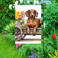 A beautiful red brown Dachshund dog surrounded by gorgeous flowers.
