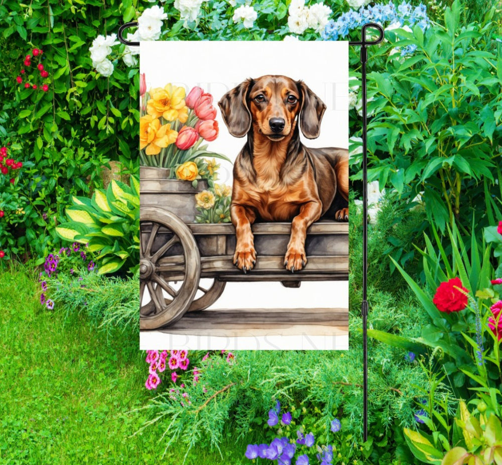 A beautiful red brown Dachshund dog surrounded by gorgeous flowers.