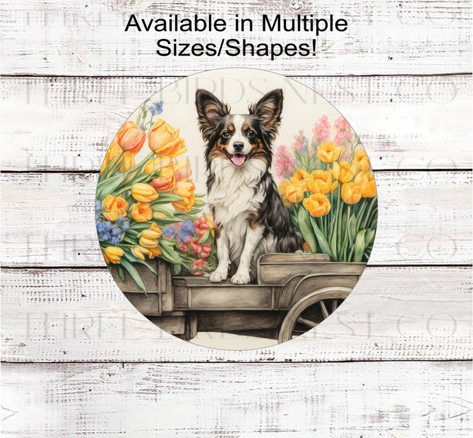 A Papillon Dog on a flower cart full of Spring Flower