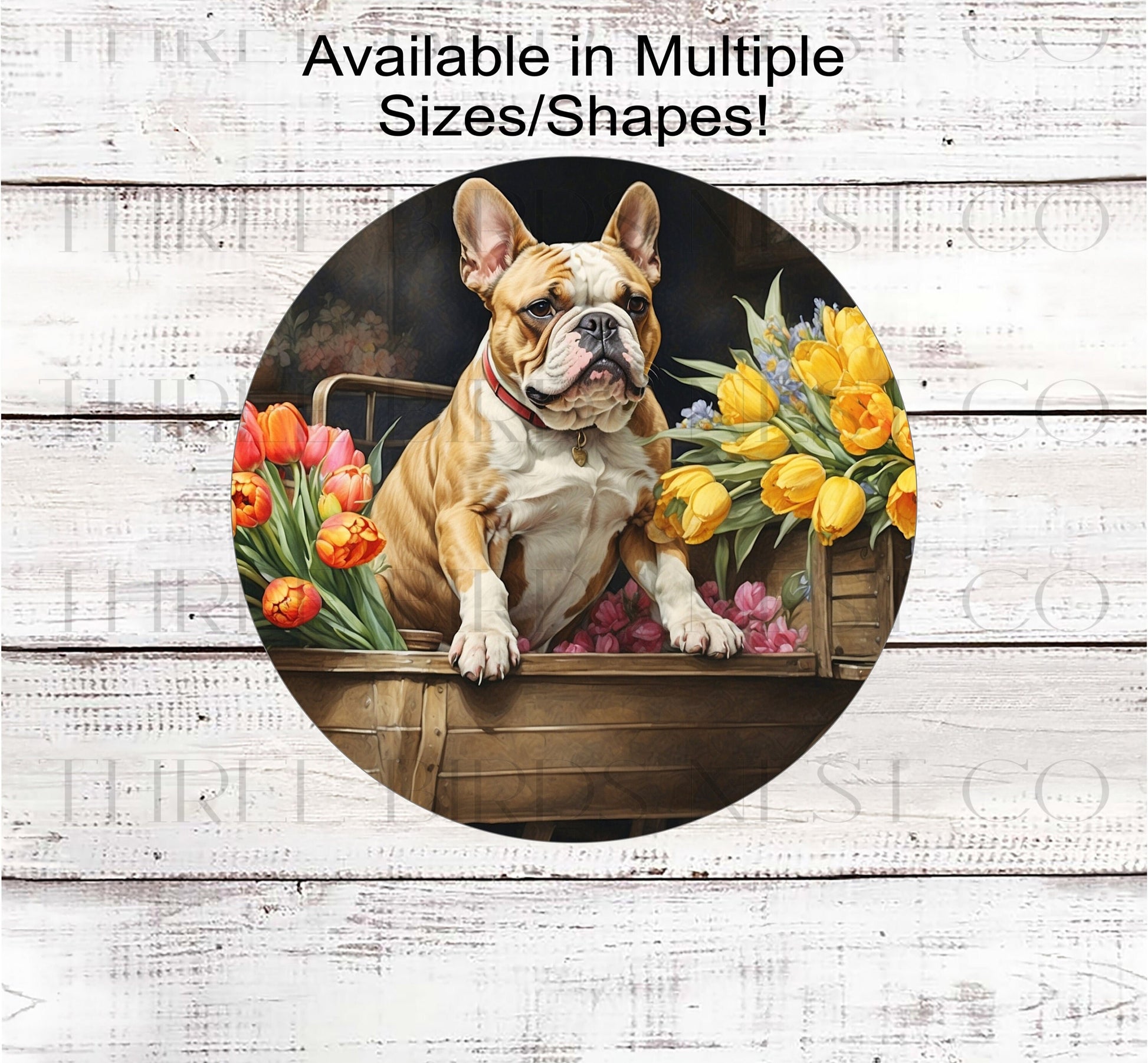A French Bulldog on a flower cart full of Spring Flower