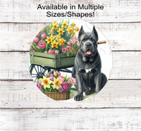 
              A grey Cane Corso dog surrounded by beautiful Spring flowers
            