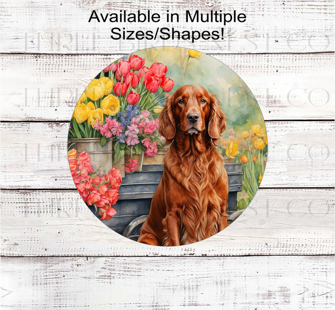 An Irish Setter dog surrounded by beautiful Spring flowers