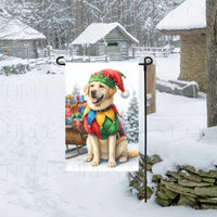 An adorable Labrador Retriever dog dressed as a Christmas Elf.