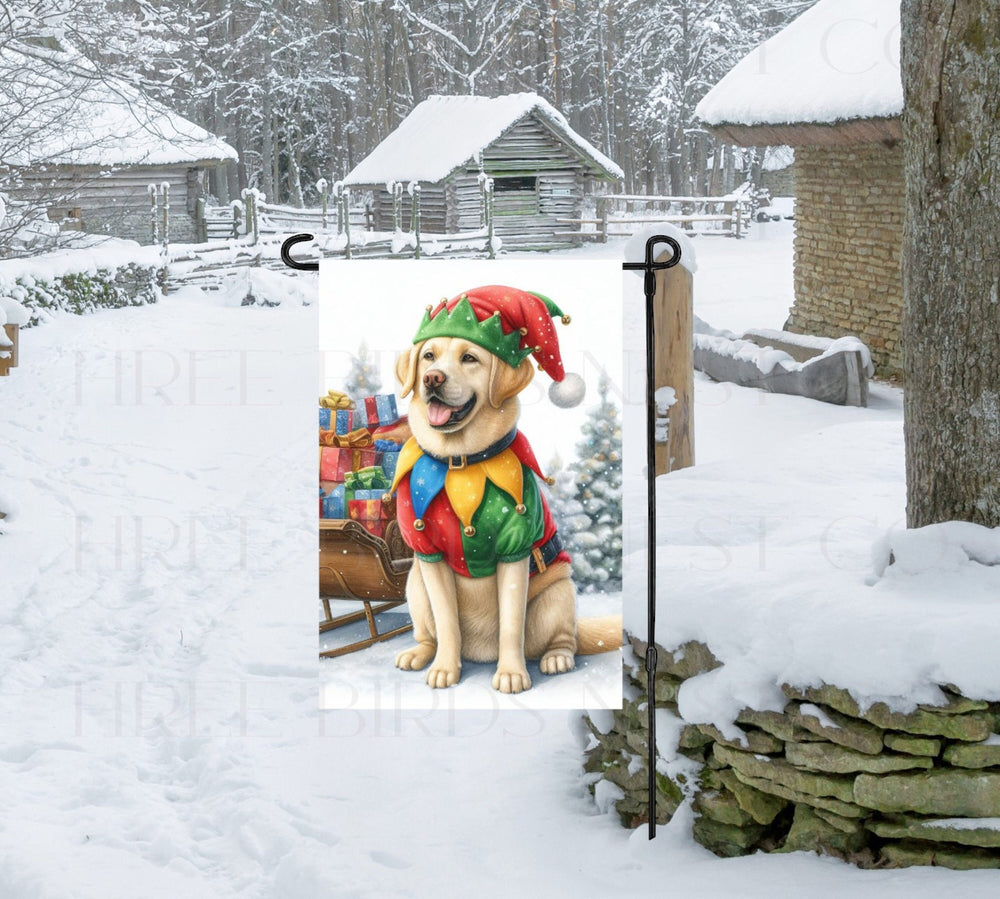 An adorable Labrador Retriever dog dressed as a Christmas Elf.