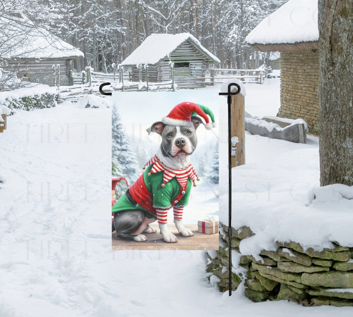 A grey and white Pit Bull Dog in a Winter Wonderland setting, dressed as a Christmas Elf.