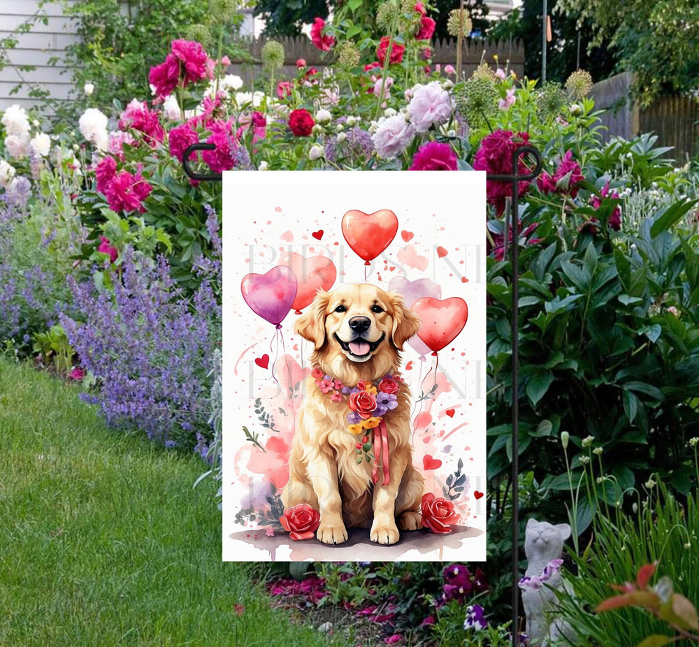 A beautiful Golden Retriever with flowers around his neck and heart shaped balloons for Valentines Day.