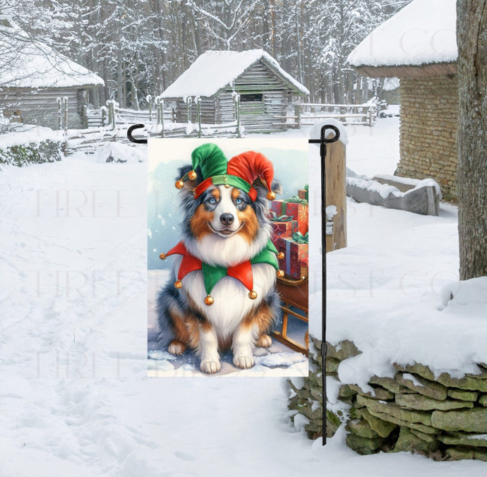 An adorable Australian Shepherd dog dressed as a Christmas Elf.